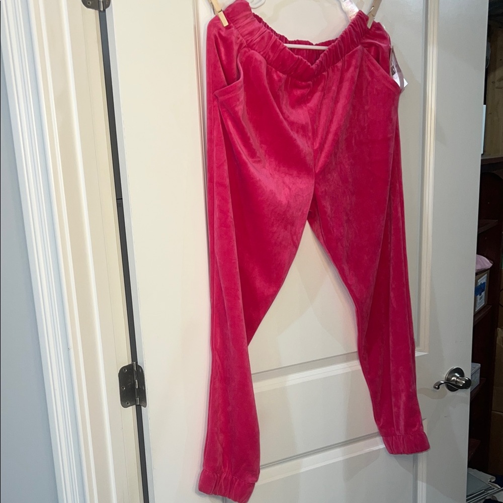 Girls 2X plus Juicy Couture pink Velour Pants - Picture 1 of 3